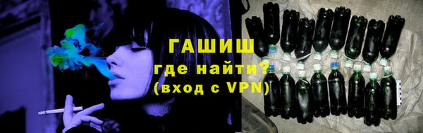 гидра Няндома
