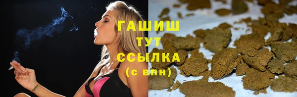 гидра Няндома