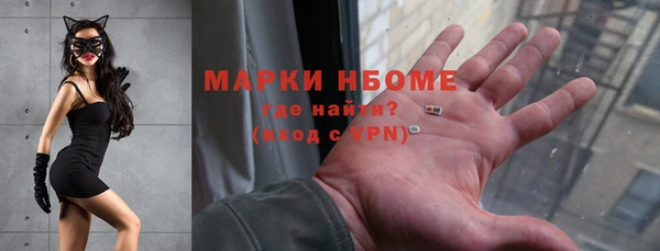гидра Няндома