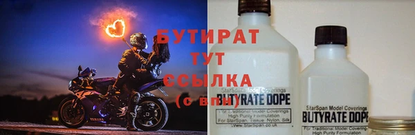 гидра Няндома