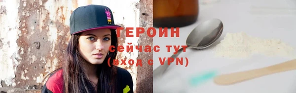 гидра Няндома