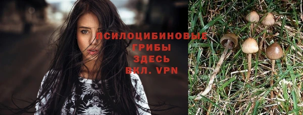 a pvp Осинники