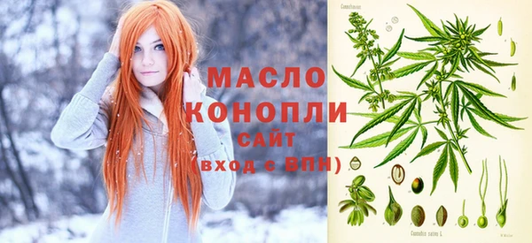 гидра Няндома