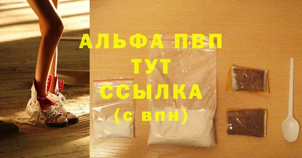 гидра Няндома