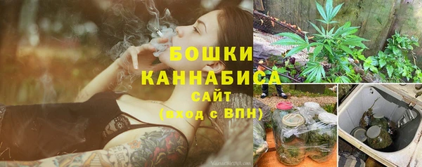 гидра Няндома