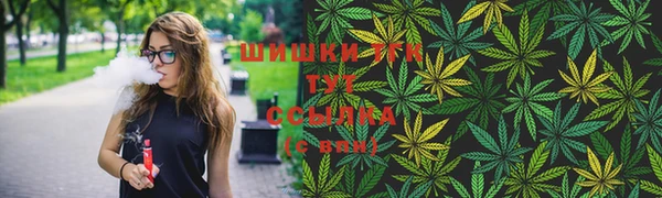 гидра Няндома