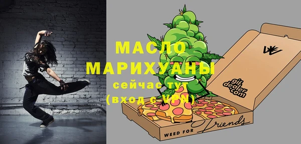 гидра Няндома