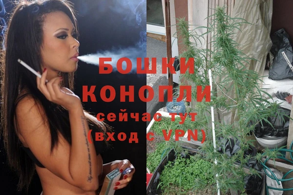 гидра Няндома