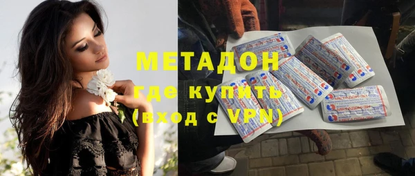 гидра Няндома