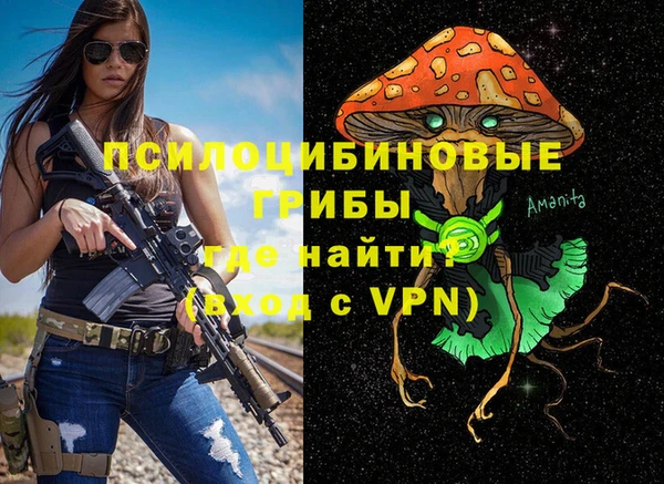 гидра Няндома