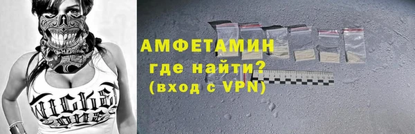 гидра Няндома